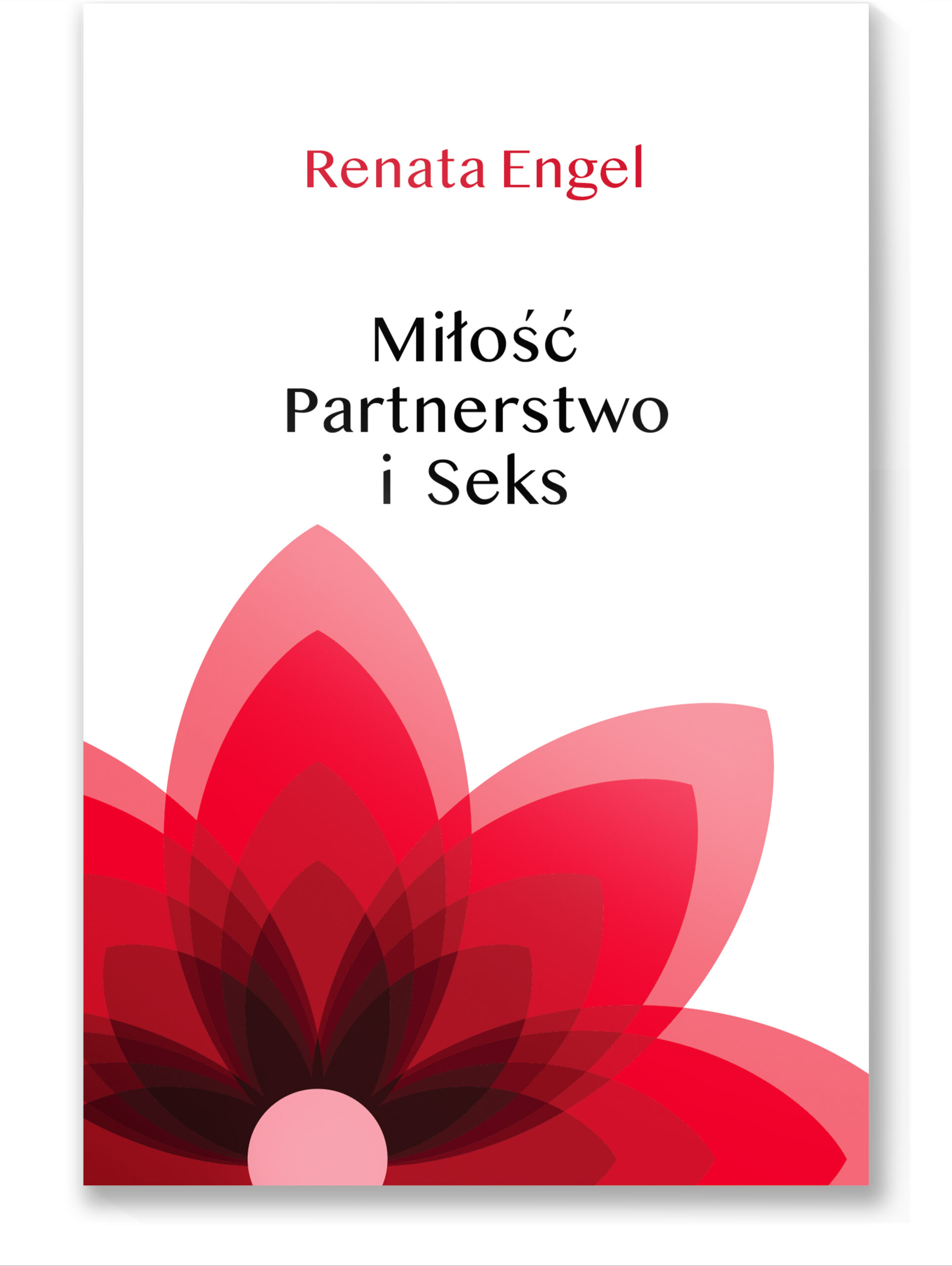 BOOK-COVER-M-P-i-S